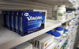 Một tổng giám đốc bán thuốc kích dục giả